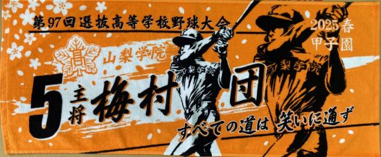 甲子園出場記念タオル・第98回選抜高等学校野球大会 記念タオル 中厚