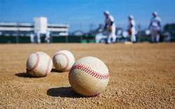 甲子園出場記念タオル・第105回全国高等学校野球選手権記念大会 記念